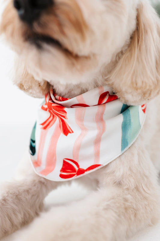 Bows | DOG BANDANNA