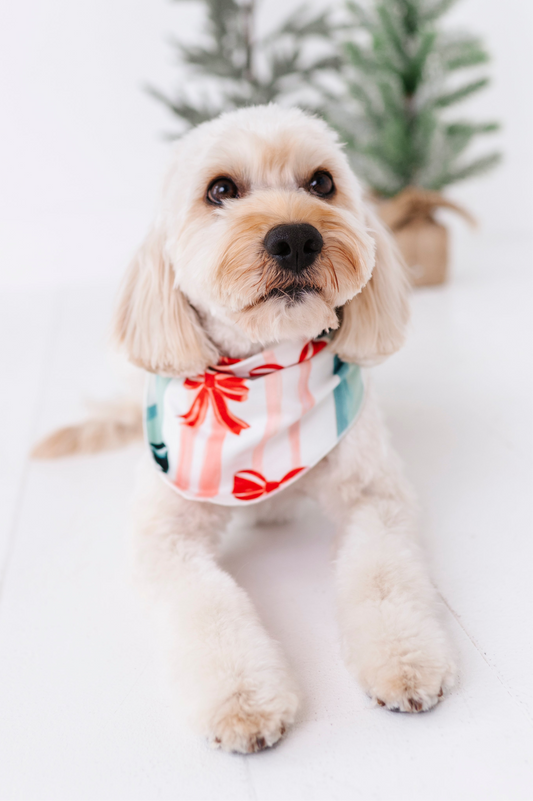 Bows | DOG BANDANNA