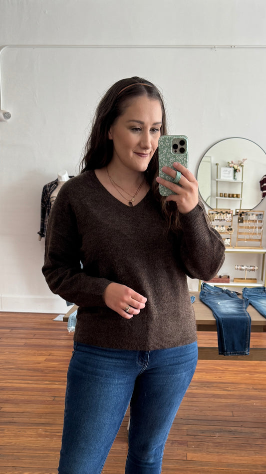 V-Neck Sweater: Brown